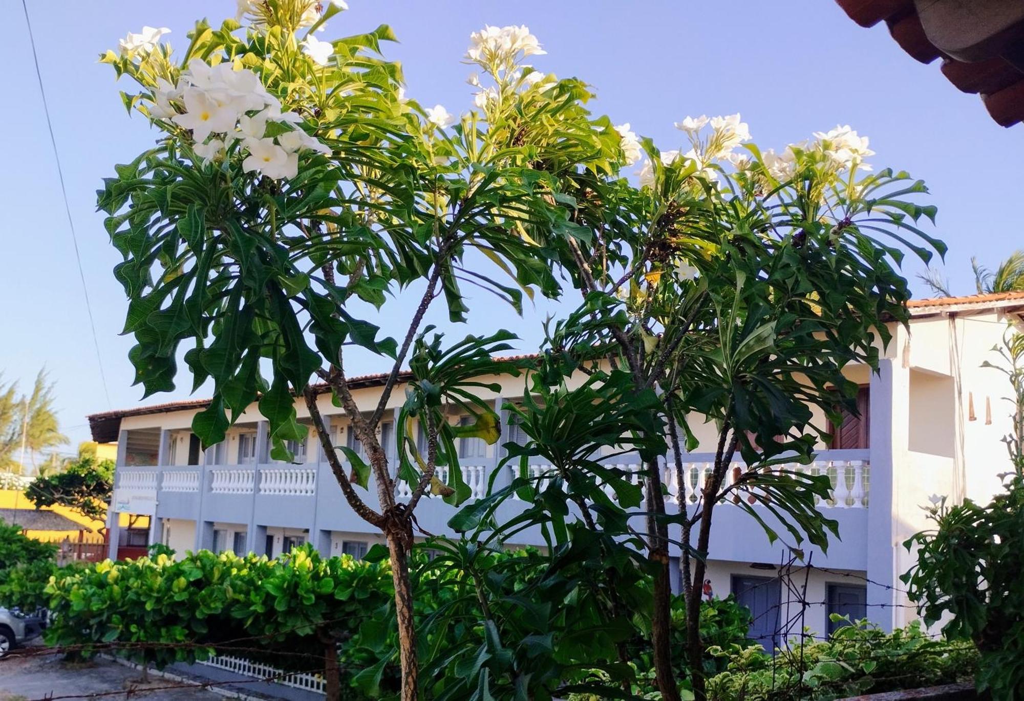 Pousada Embarcacao Hotel Tutóia Kültér fotó